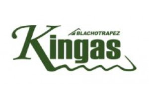 Kingas